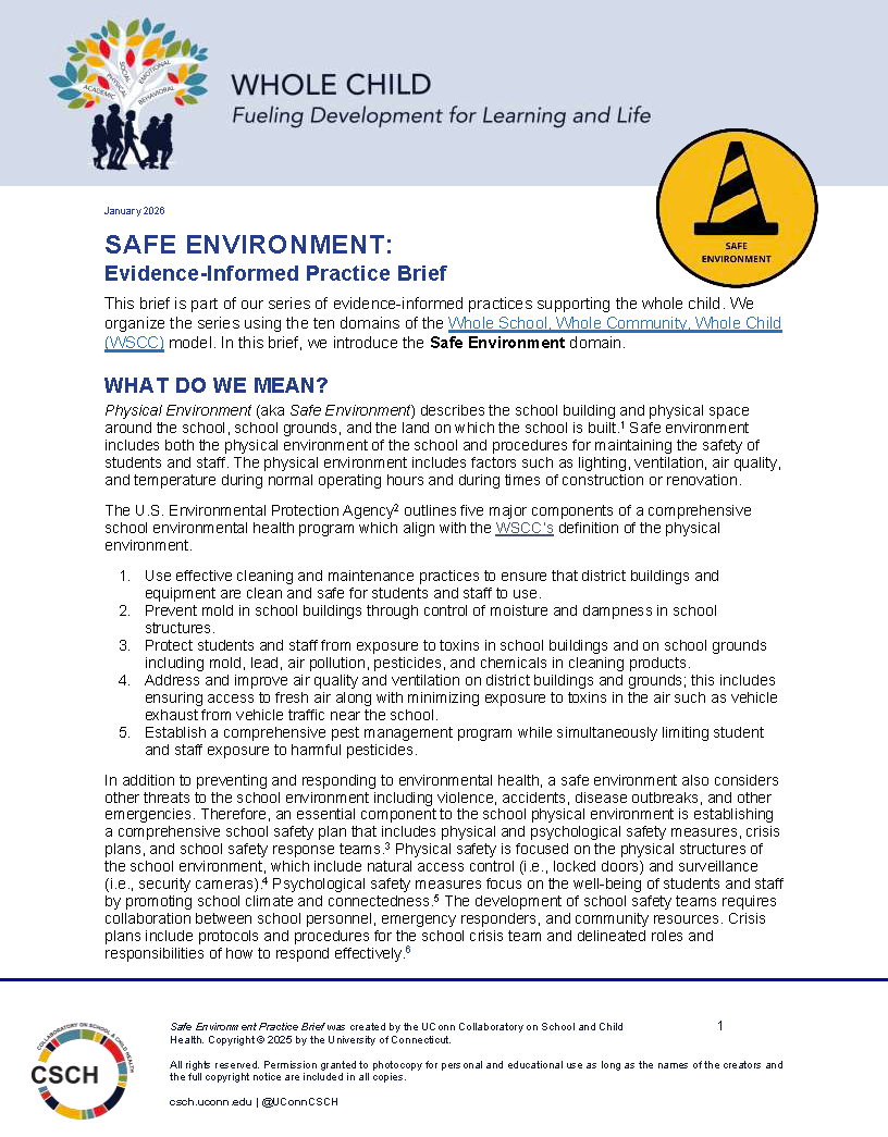 Cover page of Safe Environment Brief
