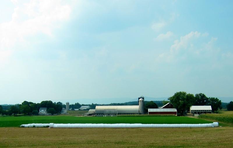 farm/agriculture sector