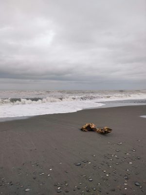 A cloudy day at a beach with waves crashing onto the shore. The sky is overcast with thick clouds.