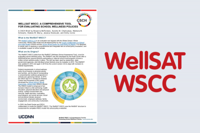 Image of first page of WellSAT WSCC Brief on left and WellSAT WSCC Wordmark on right